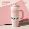 Powder grid-750ml (with tea leak)