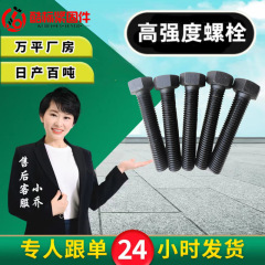 厂家供应高强度外六角螺栓螺杆高强度六角头螺栓螺丝10.9高强螺栓