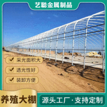 工厂定制养殖大棚大型单体畜牧温室大棚养猪养鸡养鸭温室大棚安装