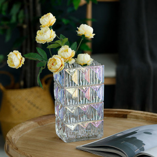 Casual Accessible Luxury Transparent Vase Living Room Scandinavian Style Glass Modern Home Furnishings Flower Arrangement Hydroponic Decoration Flower Vessel