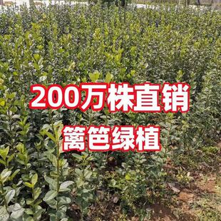 �������S��h�ʾGֲɺ������~�S���ͺ��ļ����಻���~����ͥԺ