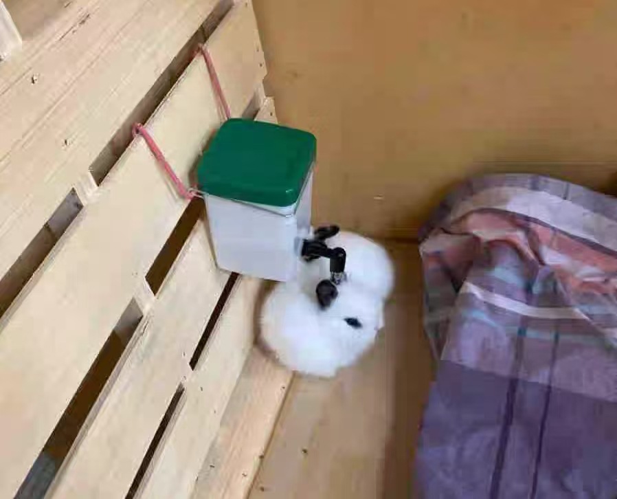 9ffc55cb03a206a87b01b77ef52a1f