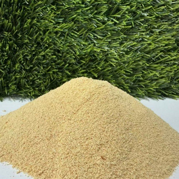 2025-05-05 11:50:23.jpg