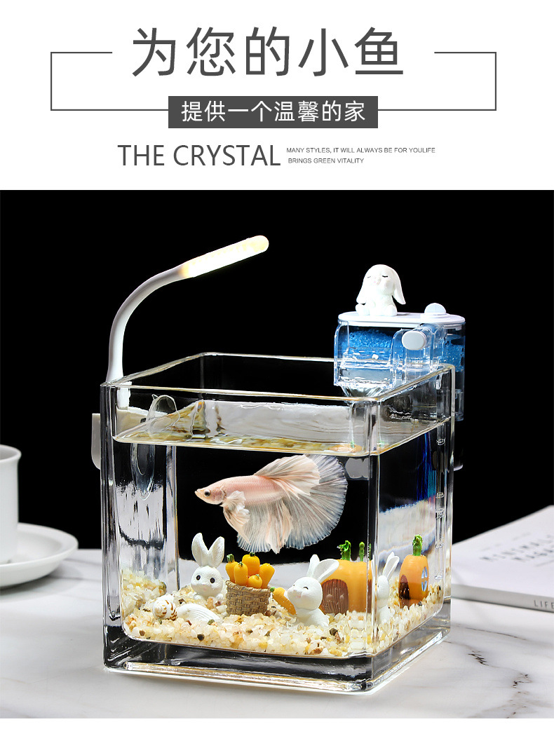 802a802d-8f8e-4b67-a2ee-1298ad4b69b8.jpe