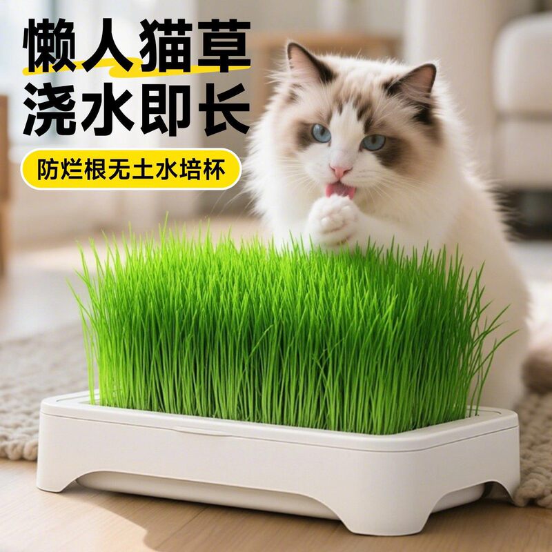 Cat Grass Potted Plant Soilless Hydroponic Planting Pot Set Lazy Person Cat Grass Seeds Cat Supplies Hairball Health Cat Snacks Cat Grass Potted Plant Soilless Hydroponic Planting Pot Set Lazy Person Cat Grass Seeds Cat Supplies Hairball Health Cat Snacks