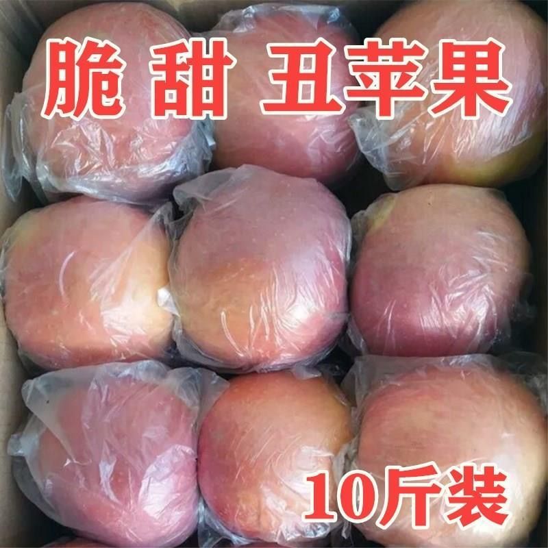 苹果脆[批发价]正宗大沙河丑苹果新鲜当季红富士脆甜10/5/1斤整箱