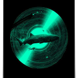 跨境货源亚马逊 wish 动物鲸鱼星空海报图片帆布画创意室外装饰