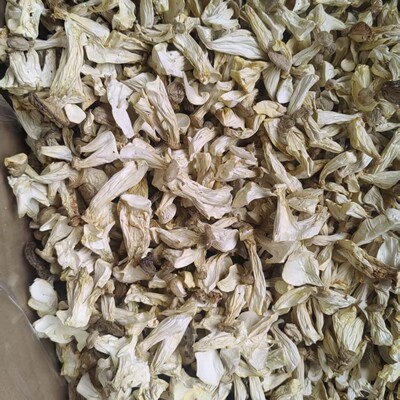 古田农家当季无硫杏鲍长寿菇干货好吃火锅食材食用菌干货批发煲汤