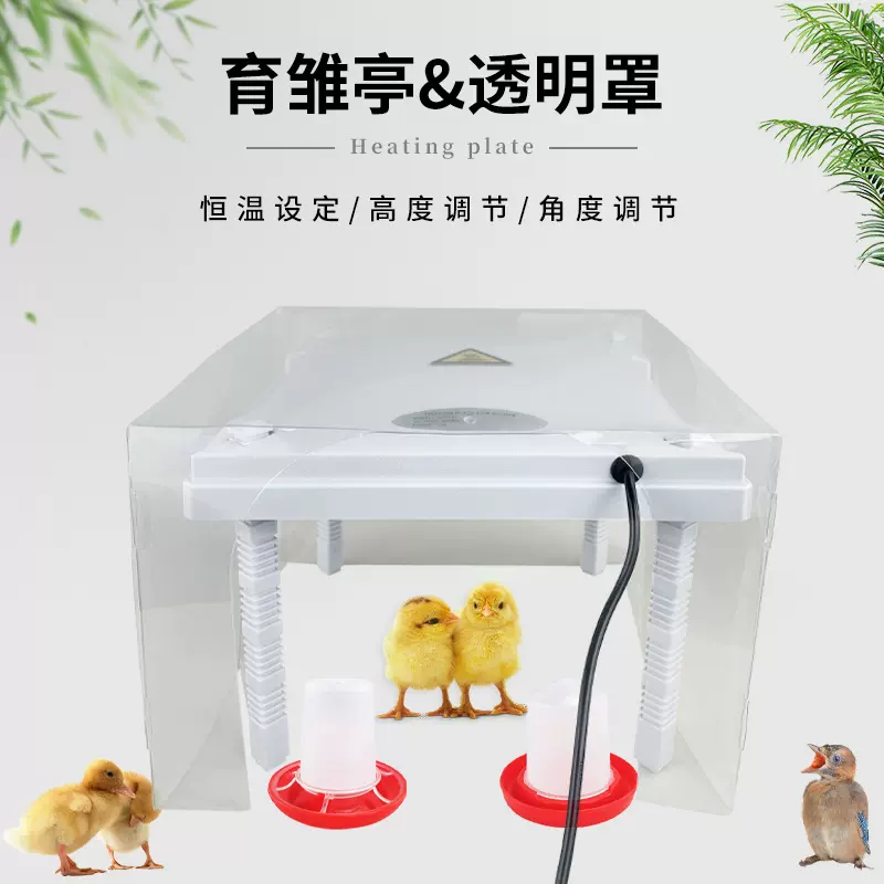 控温养殖保温设备育雏亭小鸡加热器带透明保温罩
