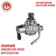 ���������Դ��ѹȼ�ͱ� SM296100-0020 04T2225130 SM2961000020