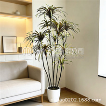 ���Q�羳���؛Դ���W������Ѫ�� ���U�F��Gֲ�Ҿ��bƵ�����