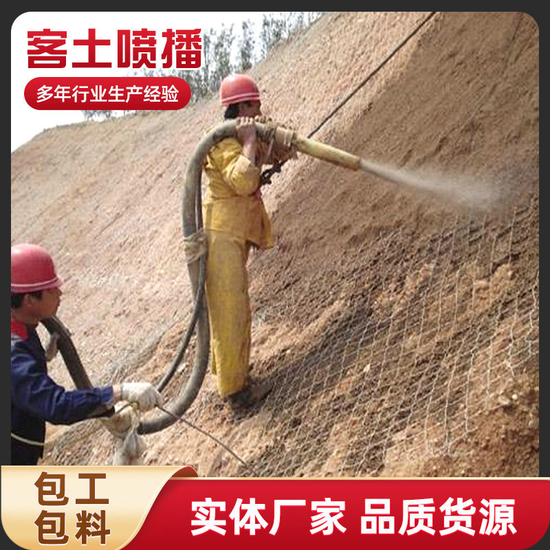 定制客土喷播挂网荒山护坡固土网喷播绿化植草网铁丝网边坡喷浆网