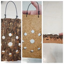 ¹ާܛľȻ㙉ƤֲֵNֲ