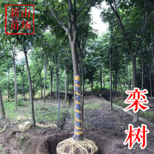 䡾㽭ݡ2-25 Sɽ ߀ ̎