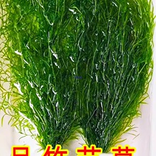 �񹝲�ˮ�ݿ�ȸ�~����y���~���쾰��������ˮ�|�B�~��Է�ֳ