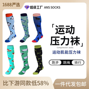 Strict selection of cross-border outdoor sports compression socks men's and women's color running elastic calf protection stockings riding pressure socks