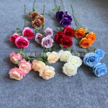 ��c3�^�ͮ�õ����滨��Y�ò����͹��ͮ�õ�廨· �����ٻ���Y