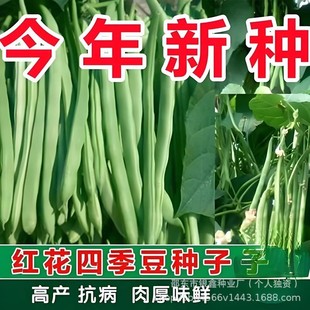 �t���ļ����N�����L�o��o�ܶ��ǷN��ԭ�b�ļ��߲˷N�Ӵ�ȫ�˷N��