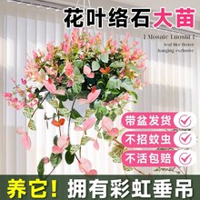 ���~�jʯ�ļ���ʻ��ܾGֲ�����Բʽj�~���@�̨������ͥԺ���B��