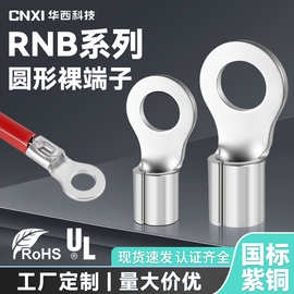 CNXI华西科技冷压端子RNB紫铜圆形接线端子O型裸端子线耳厂家直供
