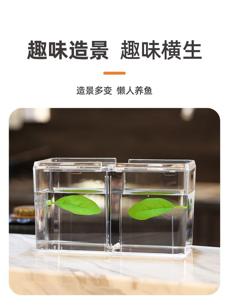 ed30e1ee-80e7-48ae-bbac-a7031870e879.jpe