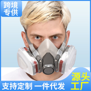 6200 Gas Mask for Protection Against Biochemical Sprays, Pesticides, Renovation, Formaldehyde, Activated Carbon Dust Mask, Protective Face Mask