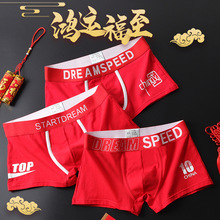 大红色本命年内裤男属妈纯棉四角裤秋冬季款潮流个性平角裤头马年
