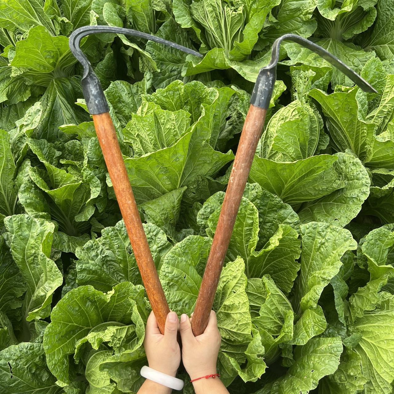 微信图片_20211111205507