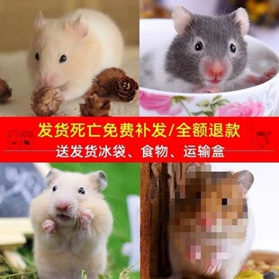 ���x�}������Ѵ�������w����һ���y��������z���n��С������]