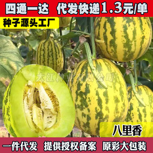 �������N����G����ϳ���Ƥˮ�������Nֲ��ϷN�ݴ����