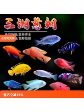 ���������~�R�����������P���~���w��ˮ��С�����B�׻�Ꭷ�^�p�~