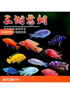 ���������~�R�����������P���~���w��ˮ��С�����B�׻�Ꭷ�^�p�~