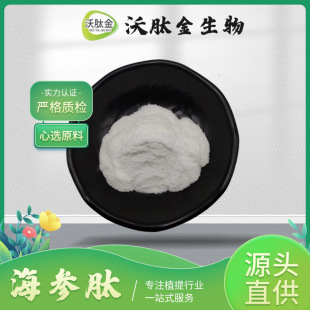 ������ С������ �����;��� ���������ġ�100g/�� �F؛���]��