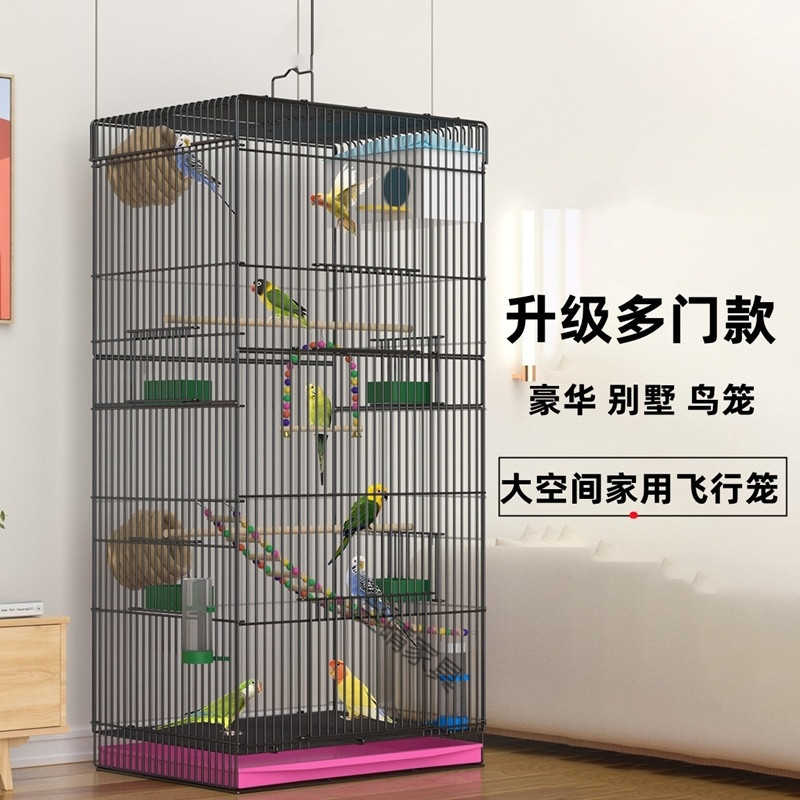 6d5043f1-55ab-4148-9e20-85d13c4da161.jpe