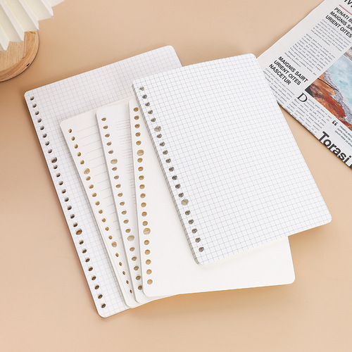 Loose-leaf notebook 20 holes a5b5 loose-leaf replacement core removable multi-specification loose-leaf core wholesale