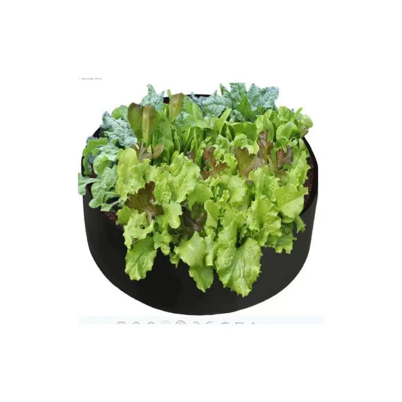 厂家生产户外美植袋 种植幼苗 环保使用 幼苗生长