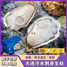 大连大生蚝非乳山鲜活新鲜海蛎子刺身牡蛎贝壳整箱5斤顺丰包邮