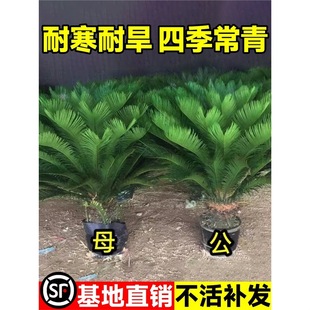 �F������С������辰�K�F�_����ĸһ���T�ڿ͏d�҃ȾGֲ���Bֲ��