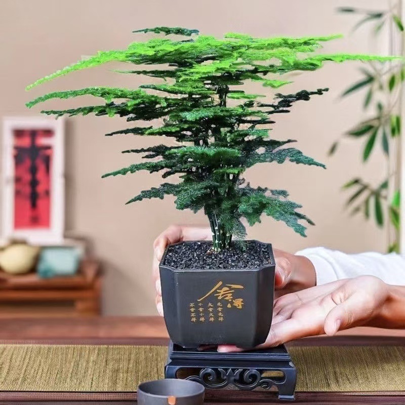 5b1eb743-eac9-44fa-99e6-60454d61237c.jpe