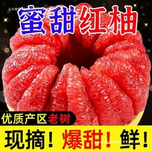 �����ƿ�t���������rˮ����������r��ˮ���t�����Ӽt������