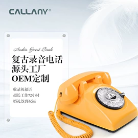 录音电话机;耳机;仿古电话机