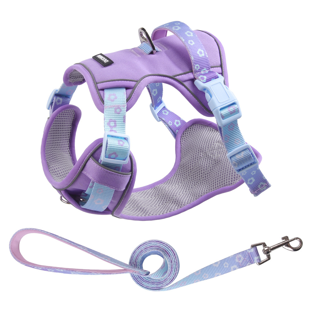 Morado