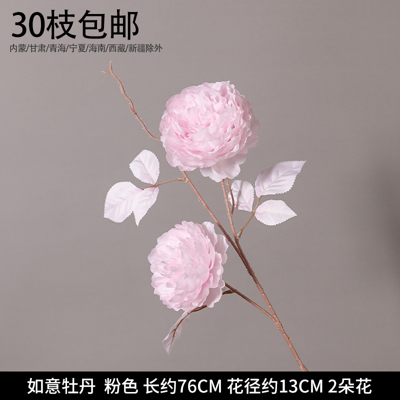 2 Ruyi Peony/Luoyang Peony