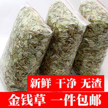 买三斤送一大叶金钱草500g100g化溶碎排浊清石茶胆囊肾输尿管