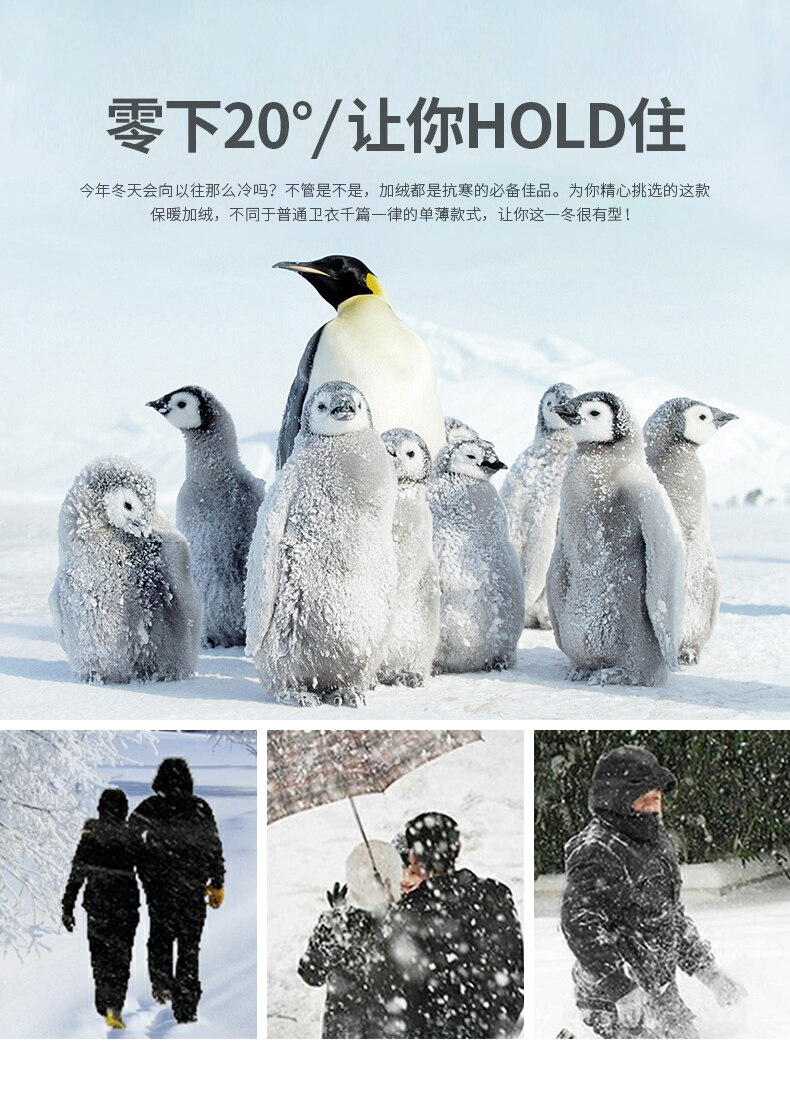 一键复制_20230405184048