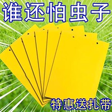 �p��ճ�x�S���T�x������Ә�Ϲ���ωᘷ�ճ�nω�Nճ�x���E�R�@��