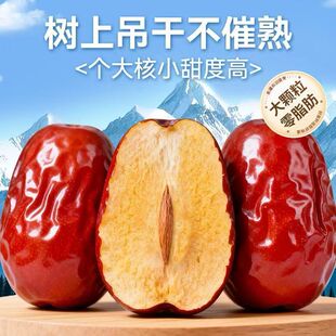 5cm������t�������½������خa���◗���x�����