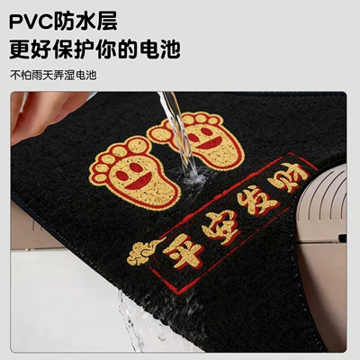 Pro-M electric vehicle foot mats, Electric vehicle foot mat