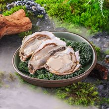 A5�ܰ�ɽҰ�L��偵���˱P�Ӯ����߲�����ɽ����ͬ�����÷´ɲ;�