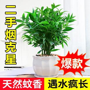 �������ֲ���҃��ļ����������՚�Gֲ�ļ����B���a�ͺ�ƽ����